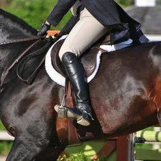 Jupitertack