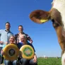 Logo Kaasboerderij Captein