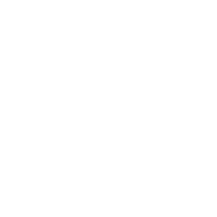 Offical Store light logo
