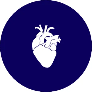 Kardiologische Privatpraxis Dr.med. Markus Moser
