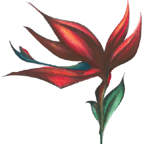 Kauaijuiceco