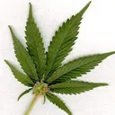 Kerber, Eck & Braeckel LLP