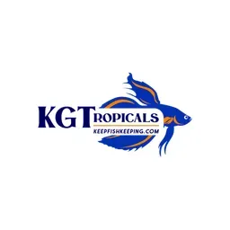 KGTropicals