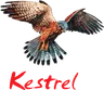 Kestrel Group Ltd logo