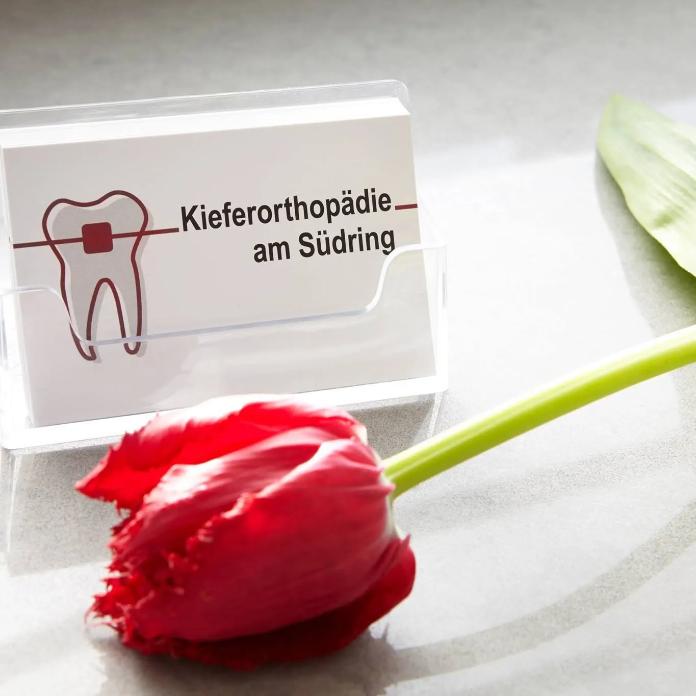 Kieferorthopädie am Südring Dr. Mareike Gedigk