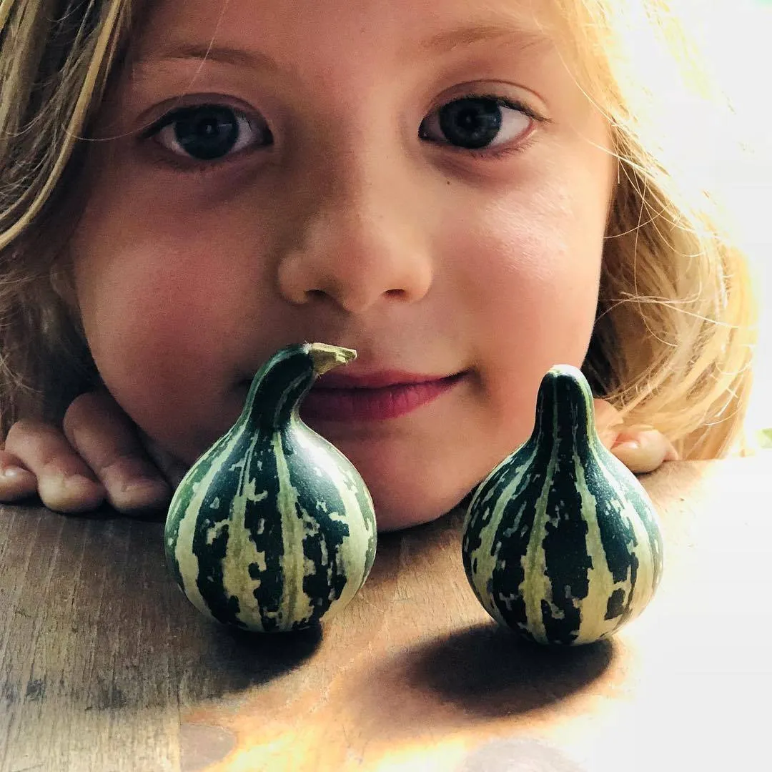 Kidseedco