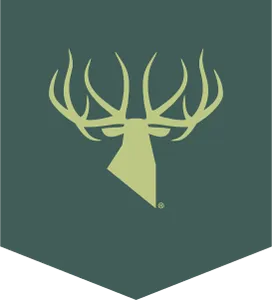 Kings light logo
