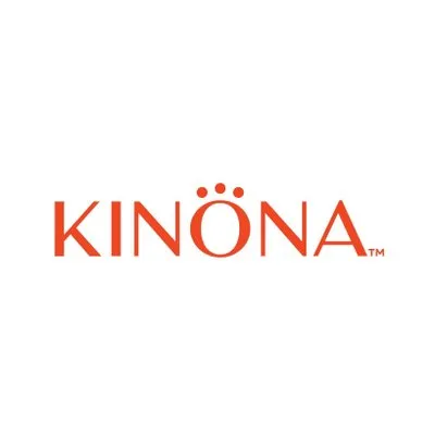 kinonasport.com logo