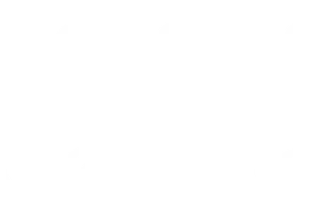 KIWI design light logo