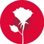 Logo Kneppers Rozen