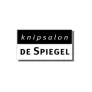 Logo Knipsalon De Spiegel