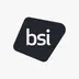 The British Standards Institution logo