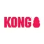 KONG Company logo
