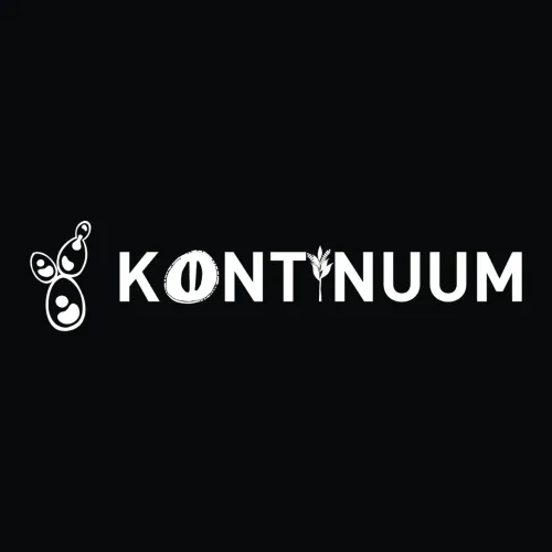 Kontinuum Group logo