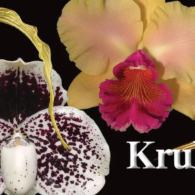 Krullsmith