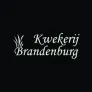 Logo Kwekerij Brandenburg