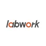 labworkauto logo