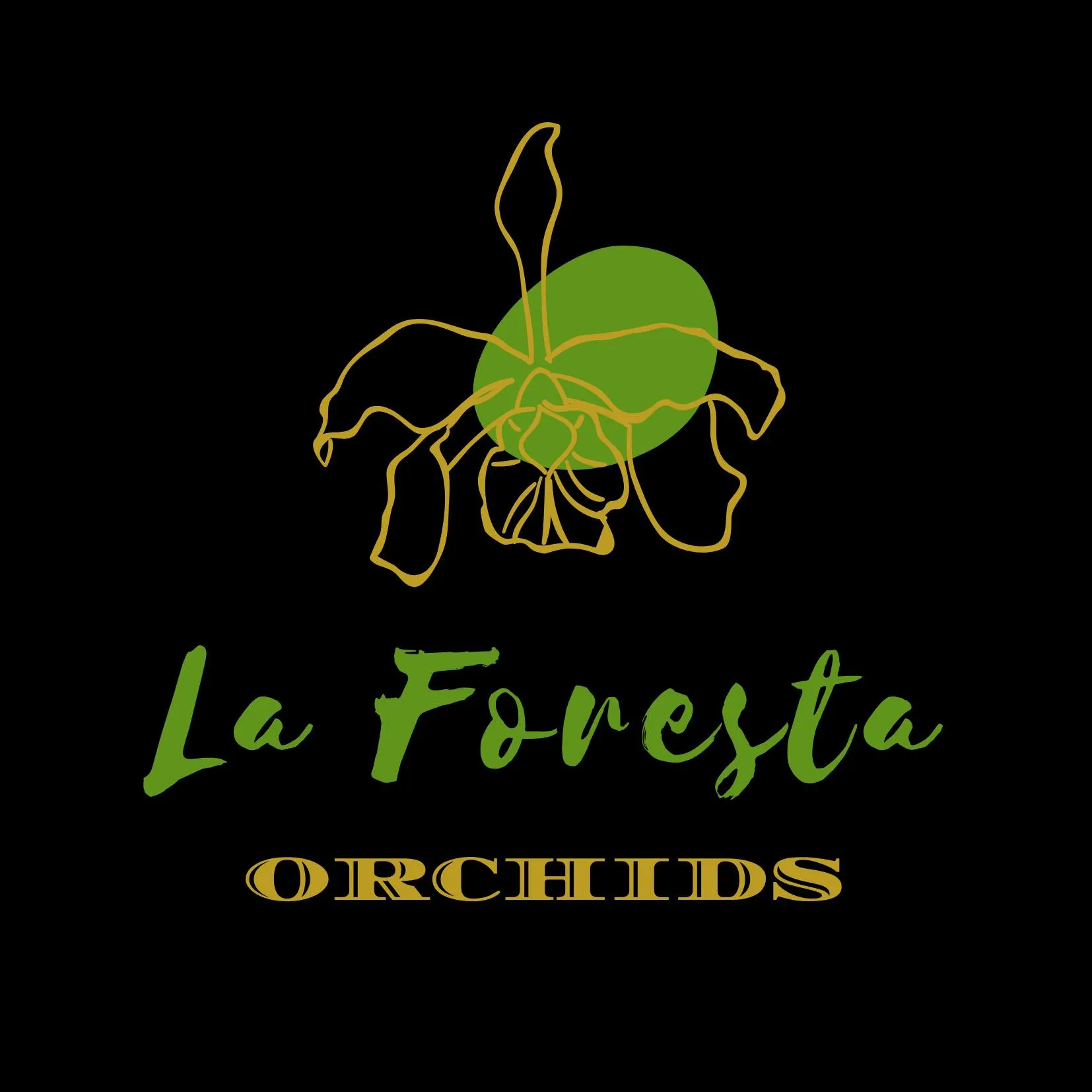 Laforestaorchids