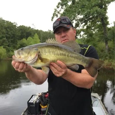 Lakemasterpros