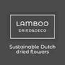 Logo Lamboo Dried & Deco