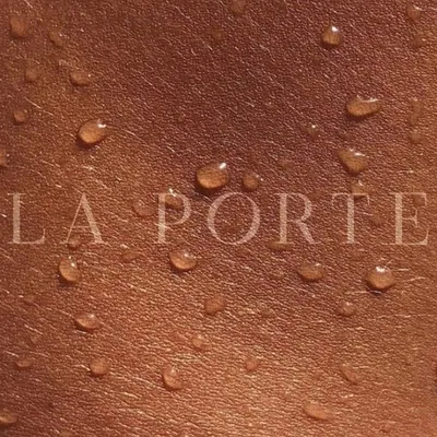 LA PORTE logo