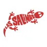 Logo Las Salinas