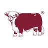 Lazyjranchwear logo