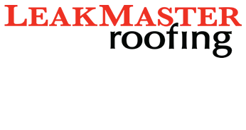 Leakmaster logo
