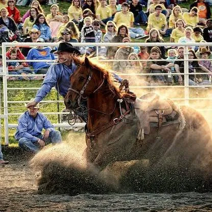 Leanin' Pole Arena
