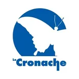 Le Cronache Lucane logo/icon