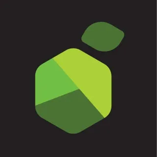 Lemon Tech logo