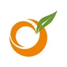 Level343 LLC - International Marketing & SEO Company logo