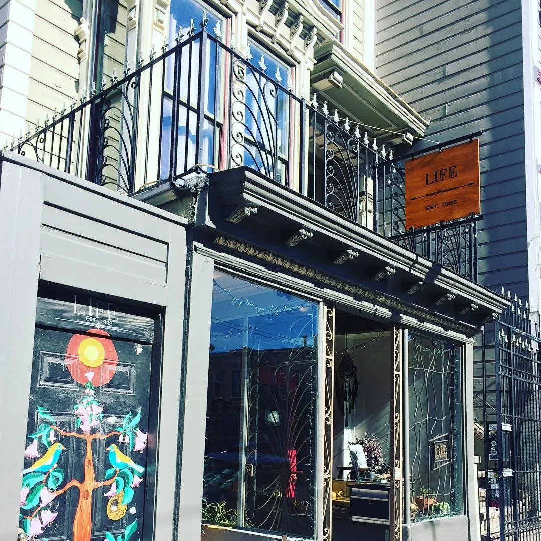 Lifesanfrancisco