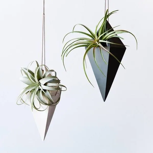 Lightandladder