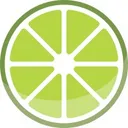 LIME PAINTING logo