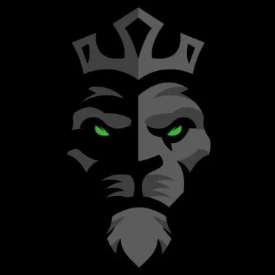 Lionsdengymtx
