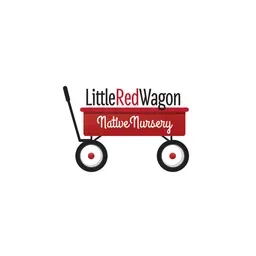 Littleredwagonnativenursery