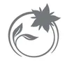 Lizearle logo