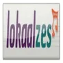 Logo LokaalZes