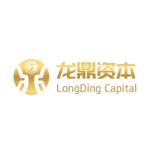 龙鼎投资 logo