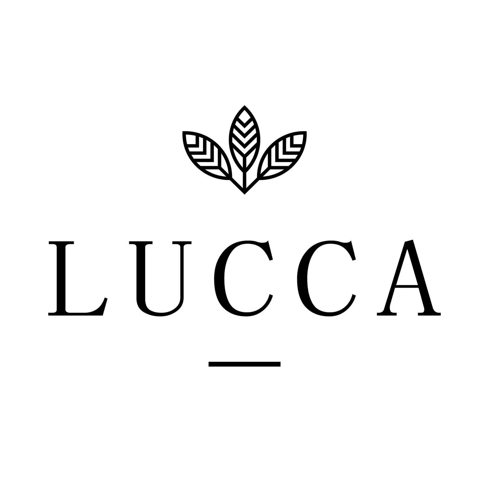 Luccaworkshop