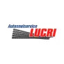 Logo Autosnelservice Lucri
