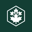 Lumberjack-company-logo