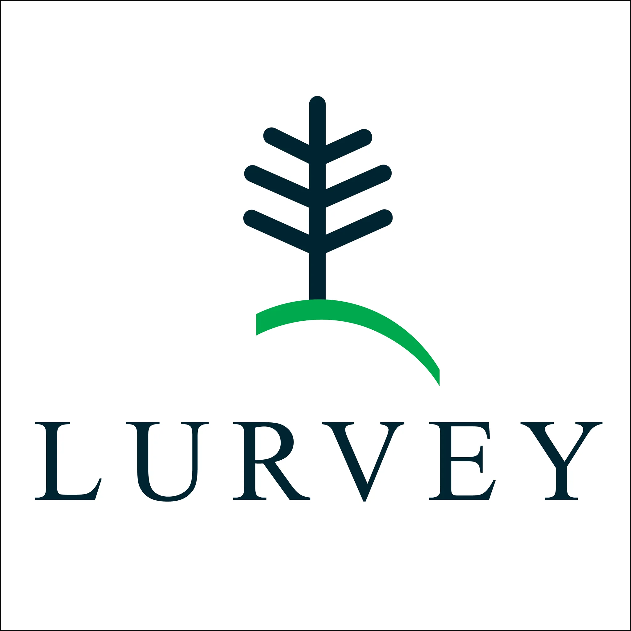 Lurveys