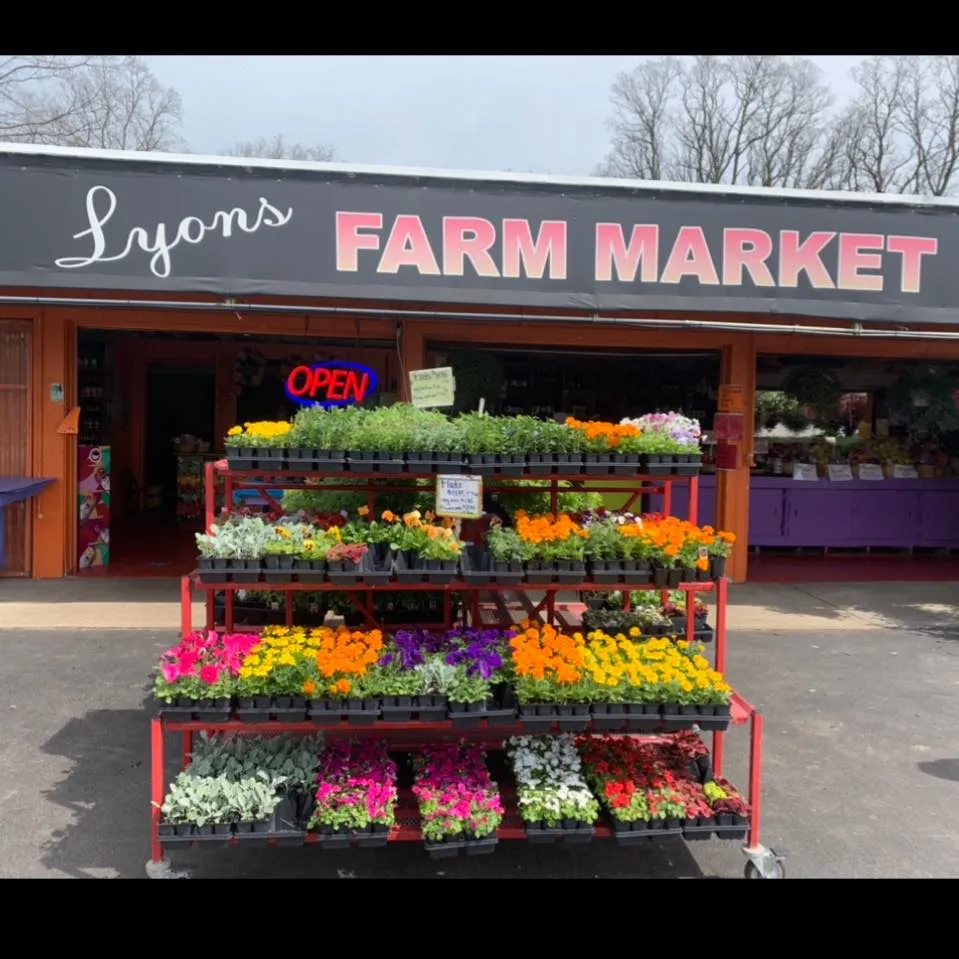 Lyonsfruitfarm