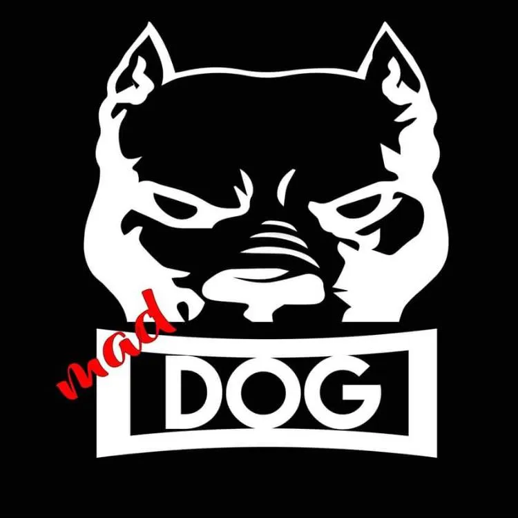 Maddogsboxing