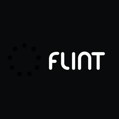 Flint logo