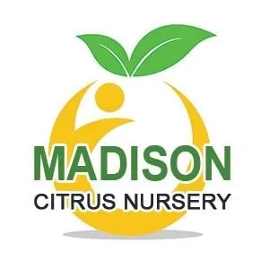 Madisoncitrusnursery