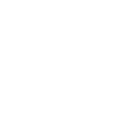 Magnific Logo