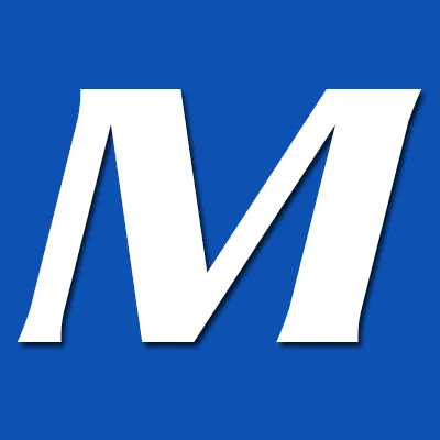 Magnumelectronics